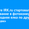 На сайте IRK.ru стартовало голосование в фотоконкурсе «Новогодняя елка по другим правилам»