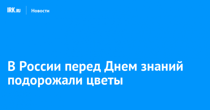 В России перед Днем знаний подорожали цветы