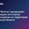 АО "ЭК "Восток" раскрывает информацию об отпуске электроэнергии на территории Курганской области