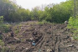 Общественник: в городе уничтожаются ручьи и овраги