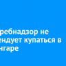 Роспотребнадзор не рекомендует купаться в реке Ангаре