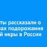 Эксперты рассказали о причинах подорожания красной икры в России