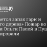 «Ощущается запах гари и влажного дерева» Пожар во дворце княгини Ольги Палей в Пушкине ликвидировали