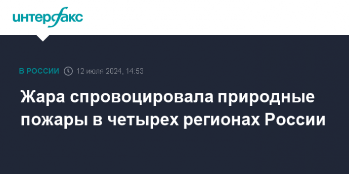 Жара спровоцировала природные пожары в четырех регионах России