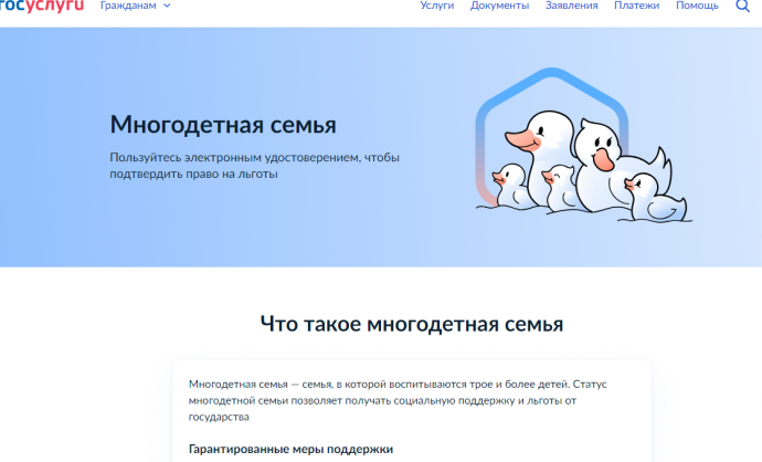 На «Госуслугах» запустили сервис для многодетных семей