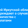 Жителей Иркутской области предупреждают о случаях мошенничества с соцвыплатами