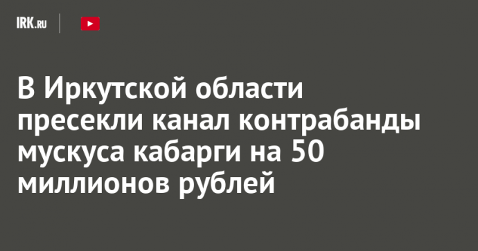 В Иркутской области пресекли канал контрабанды мускуса кабарги на 50 миллионов рублей