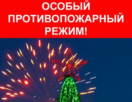 С 27 декабря по 9 января в Башкирии вводится особый противопожарный режим