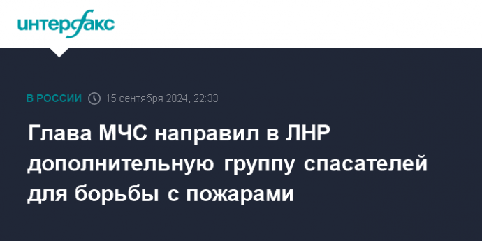 Глава МЧС направил в ЛНР дополнительную группу спасателей для борьбы с пожарами