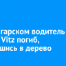 Под Ангарском водитель Toyota Vitz погиб, врезавшись в дерево