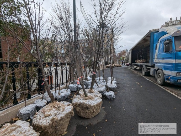 В парке Металлургов начали высаживать деревья