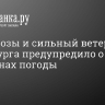 Град, грозы и сильный ветер. МЧС Петербурга предупредило о переменах погоды