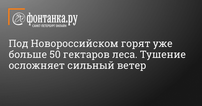 Под Новороссийском горят уже больше 50 гектаров леса. Тушение осложняет сильный ветер