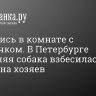 Закрылись в комнате с грудничком. В Петербурге домашняя собака взбесилась и напала на хозяев