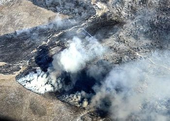 Шесть природных пожаров потушили в Приамурье