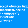 В Иркутской области будут восстанавливать лес по новому нацпроекту «Экологическое благополучие»