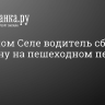 В Красном Селе водитель сбил женщину на пешеходном переходе