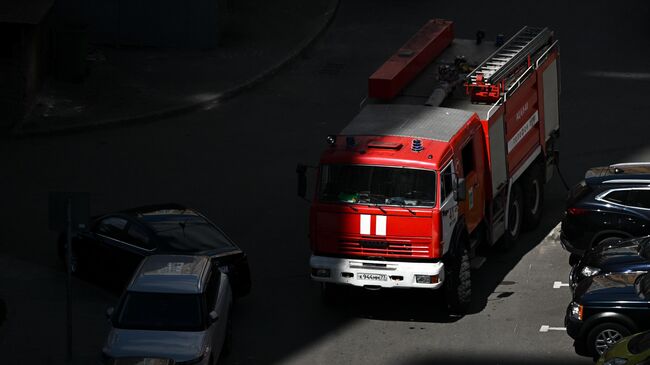 В Свердловской области при пожаре в приюте погибли животные