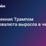 Запущенная Трампом криптовалюта выросла в четыре раза