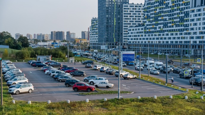 Петербуржцам расскажут, как посадить дерево у дома и где парковать автомобиль