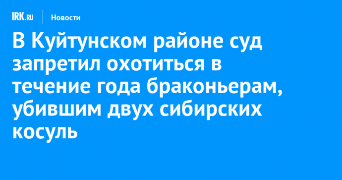 В Куйтунском районе суд запретил охотиться в течение года браконьерам, убившим двух сибирских косуль