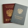 Требуются тысячами. Эксперты проанализировали запросы работодателей в 2024 году в Приморье