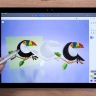 Microsoft «рисует» будущее без Paint 3D —графический редактор удалят из магазина приложений 4 ноября