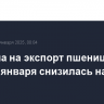 Пошлина на экспорт пшеницы из РФ с 13 января снизилась на 8,9%