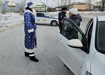 Амурских автомобилистов поздравил Дед Мороз