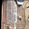 20-летняя девушка спрыгнула с 5-го этажа в Нижнем Ломове