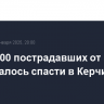 Более 200 пострадавших от мазута птиц удалось спасти в Керчи
