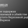 В Днепре задержан подозреваемый в убийстве экс-депутата Верховной рады Ирины Фарион