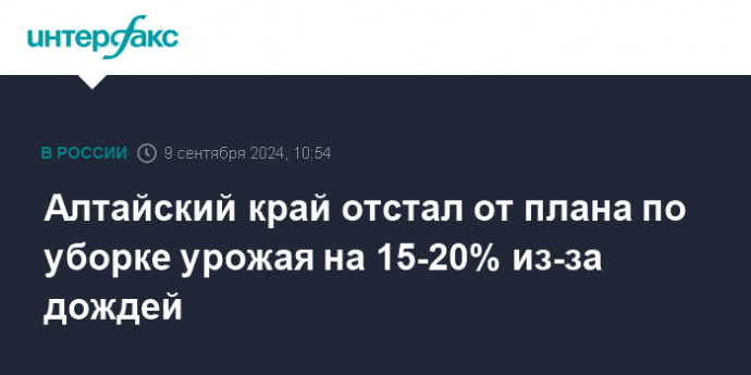 Алтайский край отстал от плана по уборке урожая на 15-20% из-за дождей