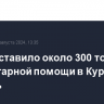 МЧС доставило около 300 тонн гуманитарной помощи в Курскую область