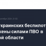 Шесть украинских беспилотников уничтожены силами ПВО в Брянской области