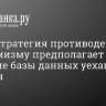 Новая стратегия противодействия экстремизму предполагает создание базы данных уехавших россиян