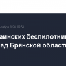 Два украинских беспилотника сбиты над Брянской областью