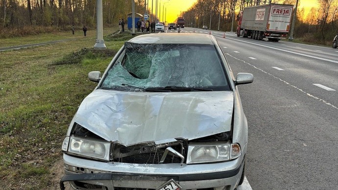 В Чернском районе водитель «Шкоды» задавил женщину на переходе