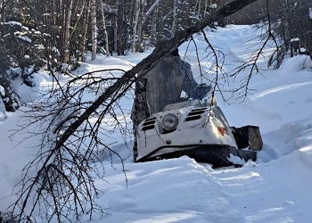 Амурские охотоведы прошли почти тысячу километров и пересчитали зверей и птиц