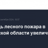 Площадь лесного пожара в Ростовской области увеличилась до 82 га