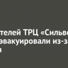 Посетителей ТРЦ «Сильвер молл» эвакуировали из-за пожара