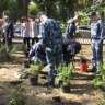 В сквере имени Михаила Гадеева высадили 101 дерево