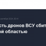 Еще шесть дронов ВСУ сбито над Брянской областью