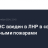 Режим ЧС введен в ЛНР в связи с природными пожарами