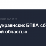 Девять украинских БПЛА сбито над Брянской областью