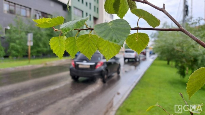 Температуру выше нормы и дожди прогнозируют синоптики в Якутии