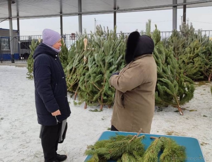 В Железнодорожном районе Пензы провели рейд по елочным базарам