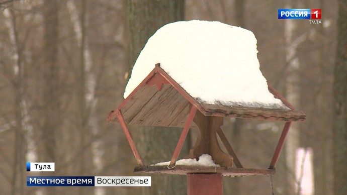 В начале недели в Тульской области ожидается нашествие «ноябрьских сугробов»