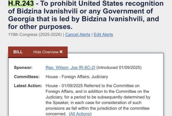 Конгресс США зарегистрировал законопроект «о непризнании грузинского кошмара»