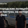 Нижегородские полицейские спасли пастуха, на которого напал бык